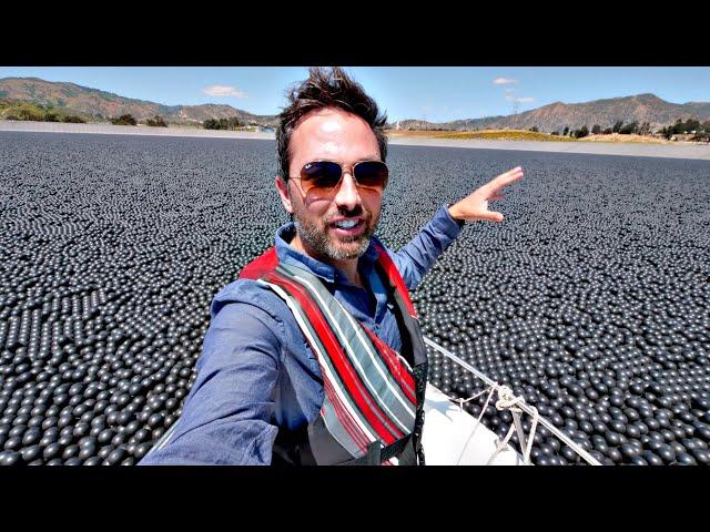 ロサンゼルスの貯水湖に96,000,000個の黒いボール。なんで？ 
