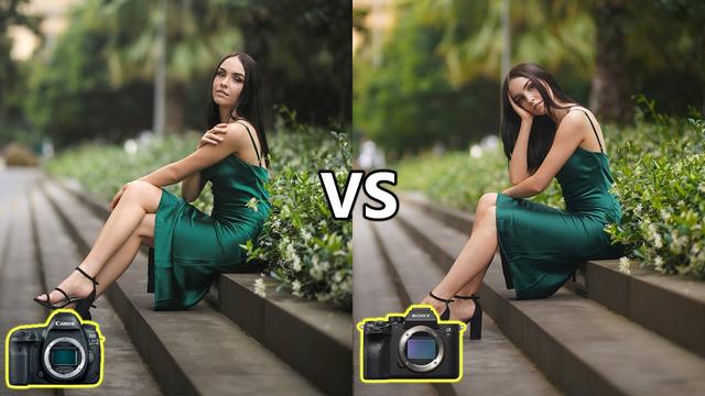 Mirrorless camera vs. DSLR: Which is better?