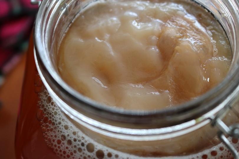 Rumored bacterial carbonated drinks cheaply live and inexhaustible!How to make raw kombucha