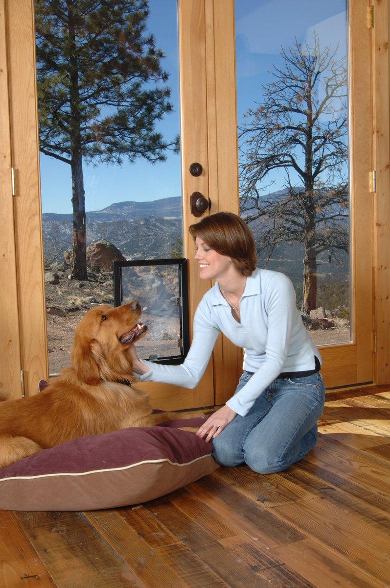 Top Tips for Making Your Home Renovation Pet-Friendly 