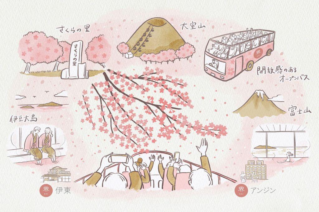[Kai Anjin / Kai Ito] "Sakura Open Bus Tour" where you can see cherry blossom viewing in Izu [Kai Anjin / Kai Ito] "Sakura Open Bus Tour" where you can see cherry blossom viewing in Izu