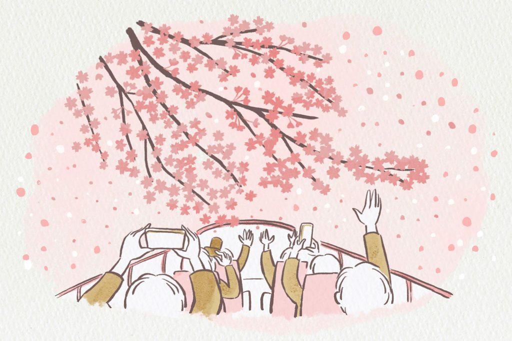 【界 アンジン・界 伊東】伊豆でお花見めぐりができる「桜オープンバスツアー」実施 【界 アンジン・界 伊東】伊豆でお花見めぐりができる「桜オープンバスツアー」実施 