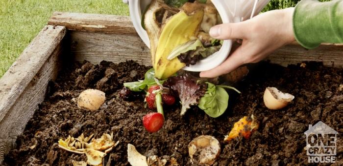  Things you didn't know you could compost