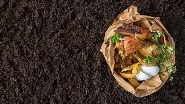  Things you didn't know you could compost 