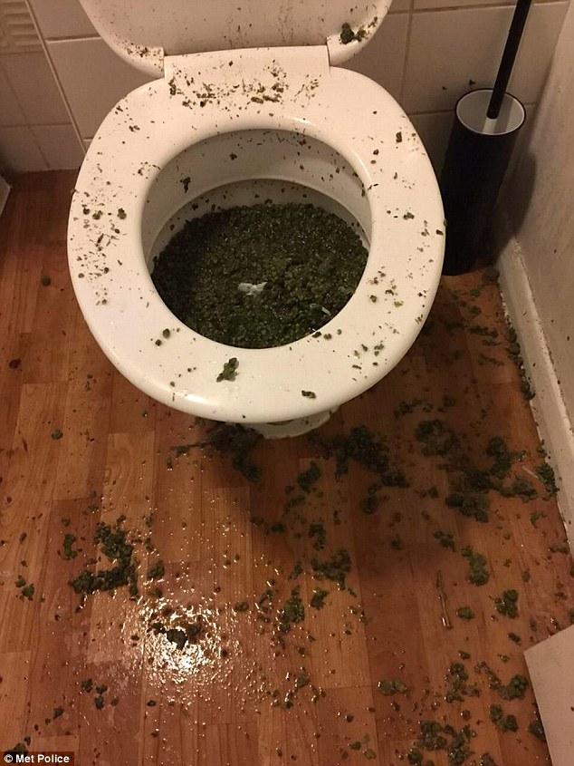 Dealer tried to flush drugs down toilet as police called at house