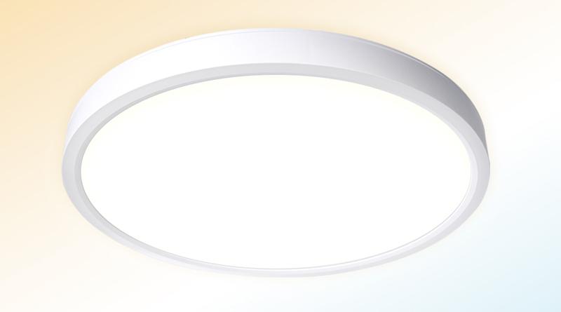 Terncy Release Dual Mode Ceiling Light For HomeKit