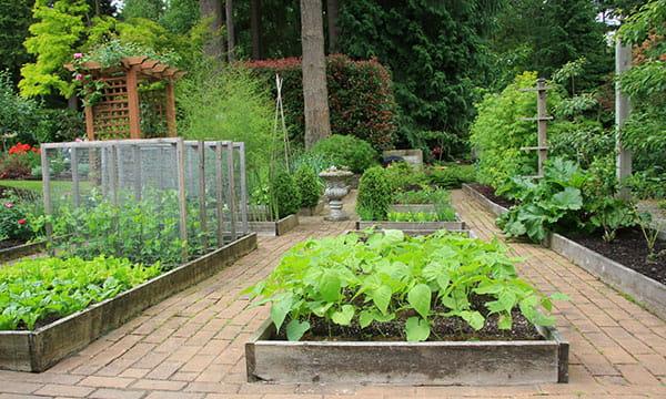 Raised bed gardening: OSU Extension Service offers advice on building and materials 