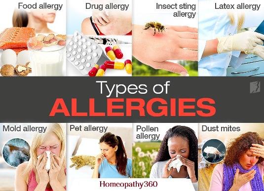 6 Common Types of Allergies 