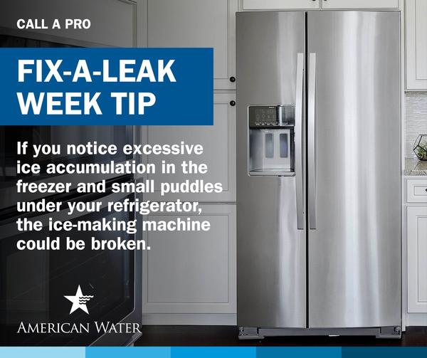 AMERICAN WATER WORKS COMPANY, INC. American Water Works : TENNESSEE AMERICAN WATER HELPS EDUCATE HOMEOWNERS DURING THE EPA'S FIX... 