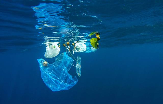 Scientists uncover 'missing' plastics deep in the ocean