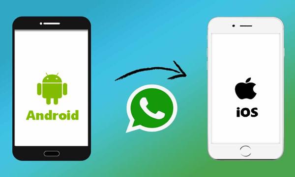 How to transfer WhatsApp chats from an iPhone to an Android smartphone