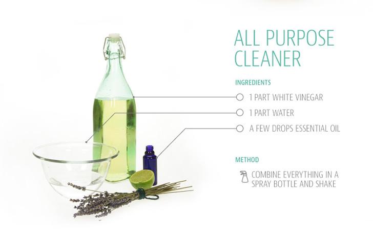 Guide to Natural Cleaning 