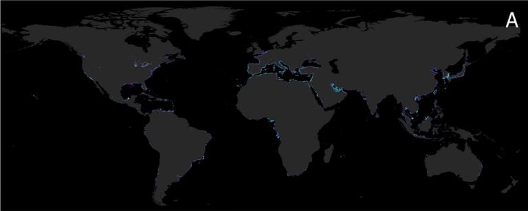 First Global Atlas Reveals How Deep Artificial Light at Night Goes Underwater
