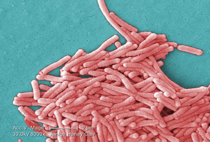 Legionella bacteria found in CalPERS Sacramento building | The Sacramento Bee Dangerous bacteria detected in CalPERS’ Sacramento headquarters multiple times 