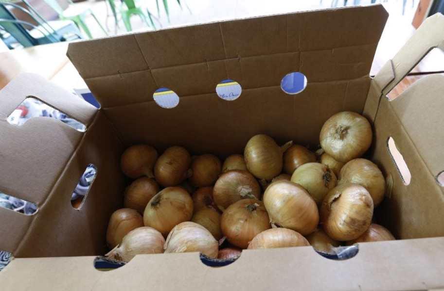 Georgia farmers work hard to produce a bounty enjoyed far and wide, like Vidalia onions