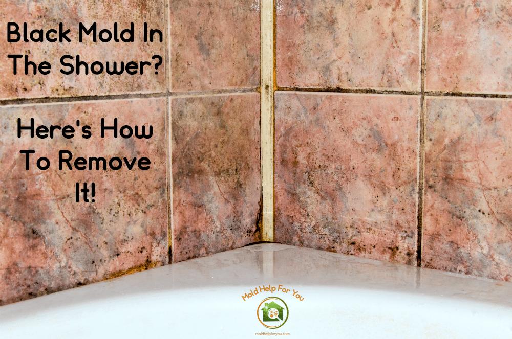 How to remove mildew and mould from the shower