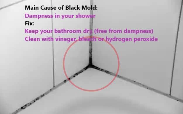 How to remove mildew and mould from the shower 