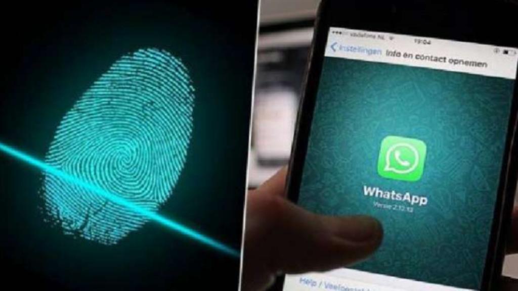 Transfer Whatsapp Chats Between iPhone & Android Phones: New Whatsapp Update You Should Know 