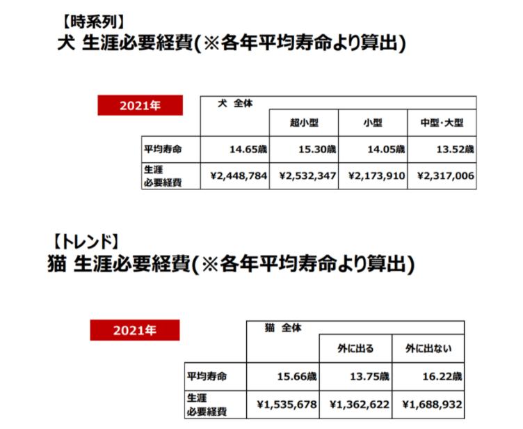  後悔しないペット保険の選び方！未加入の事例も紹介