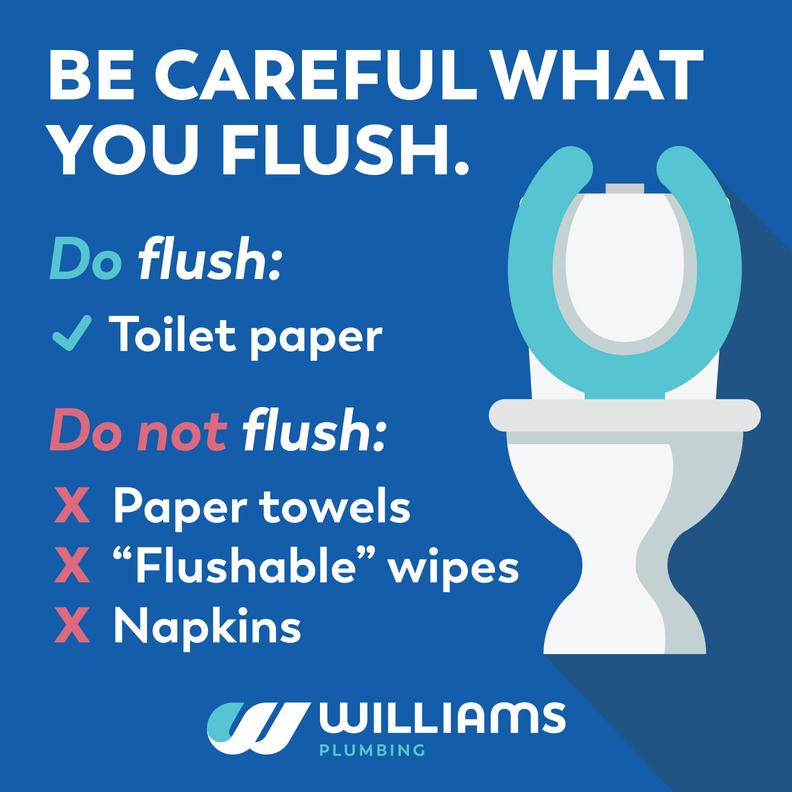 Why we need to be aware of what we flush down the toilet or down the drain 