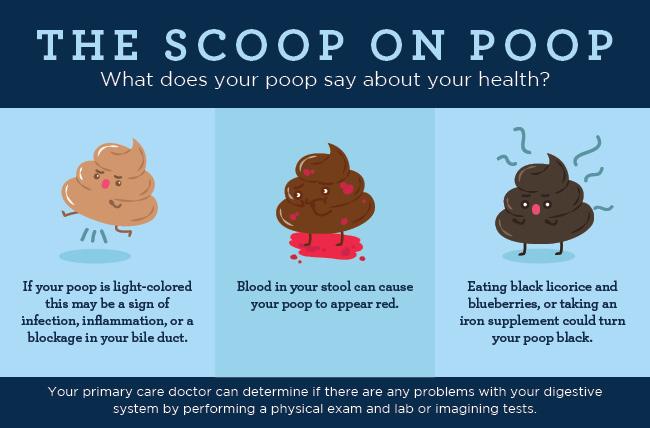 Why Do I Have Blood in My Stool?