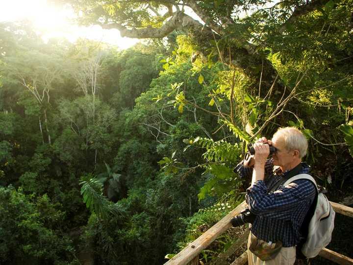 There are more than 9,000 unknown trees in the world ... most of them are in the crisis of extinction