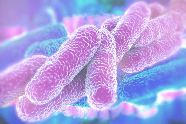 What is Legionnaires' disease? Atlanta hotel linked to outbreak of infection
