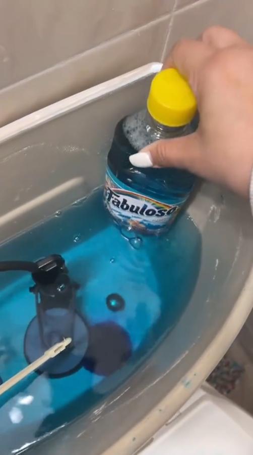 Woman reveals amazing trick for cleaning the toilet in 10 minutes