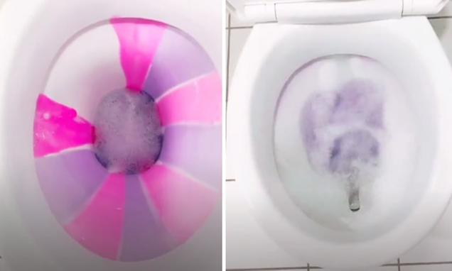 Woman reveals amazing trick for cleaning the toilet in 10 minutes 