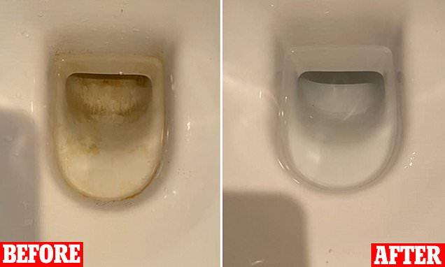 Mum transforms her grimey toilet bowl with a $2.25 'miracle' buy from Woolworths