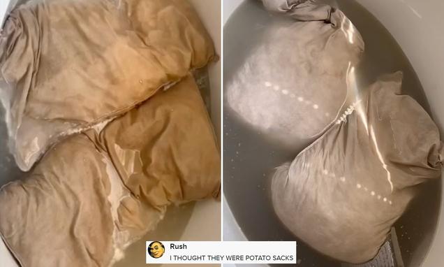 Wife is shocked by amount of dirt she extracts from her husband's favourite pillows 