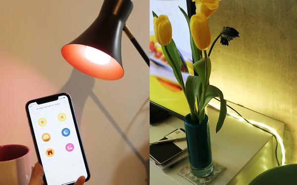 スマートLEDライト「Yeelight」日本上陸！ 多機能ながらハイコスパ、スマホで簡単調整 (1/3) - PHILE WEB