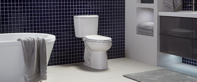 Eco-tip: Toilet maintenance important for flow to avoid replacement