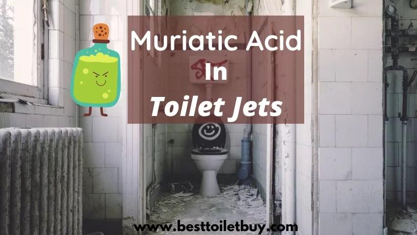 Muriatic acid is best for removing stubborn toilet bowl stains 