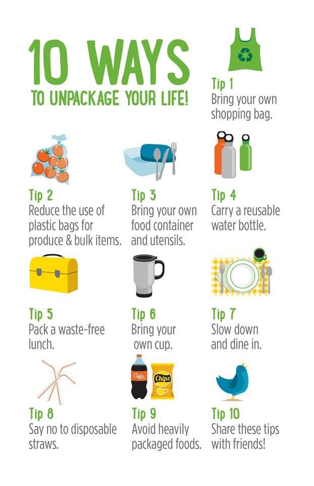 Tips for Living a More Environmentally-Friendly Life
