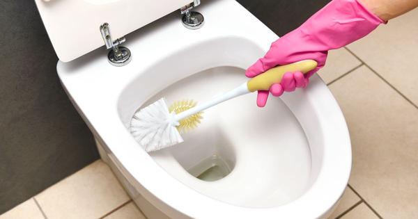 Woman shares clever tip for removing limescale from toilet