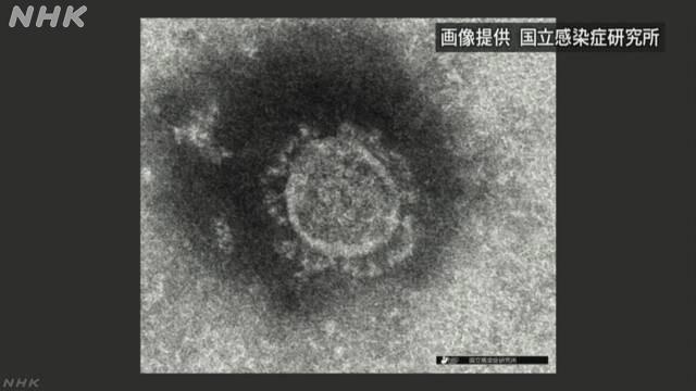  ＜新型コロナ＞埼玉の感染５４倍の急拡大…対応に追われる「大波が来た」　発熱など症状ある人、外出控えて 