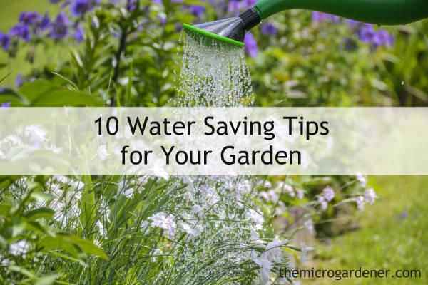 From sharing showers to native plants: give us your tips on how to save water 