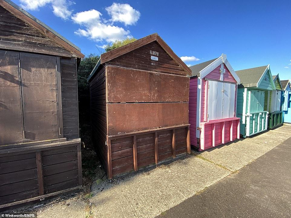 Are they CABIN a laugh? Rundown Dorset beach hut with NO fittings or fixtures on market for £60,000