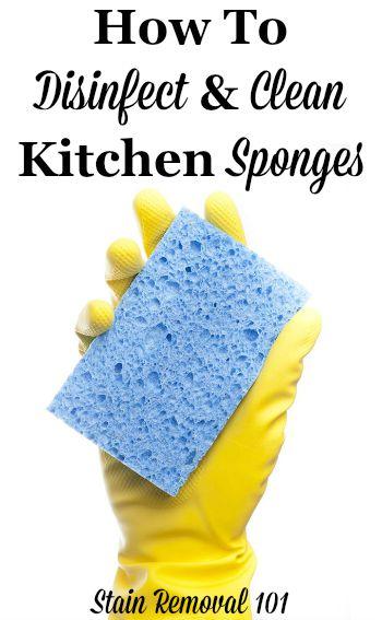Your kitchen sponge needs cleaning, too. Here’s how to care for it. 