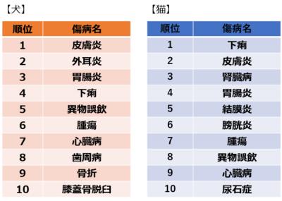  アイペット、「保険金請求が多い傷病のランキング」を発表 