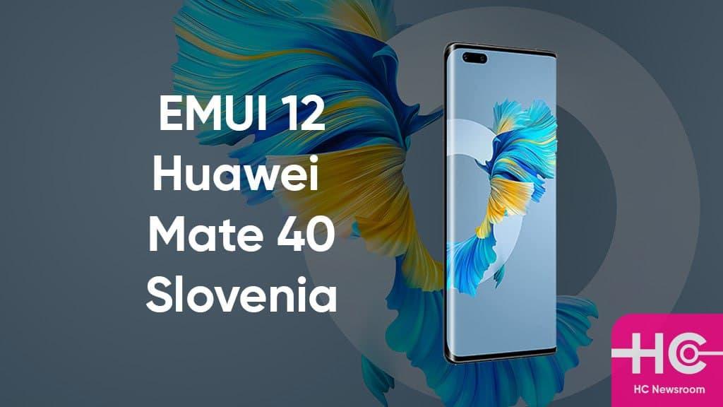 Huawei Mate 40 Pro global version pushes EMUI 12.0.0.211 update