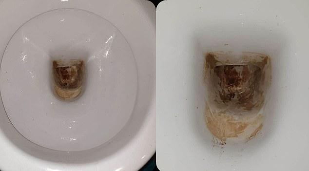 Mother uses  cleaning product to remove stubborn stains in the toilet 