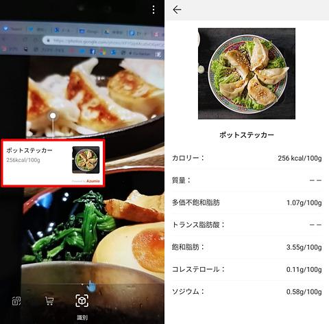 自炊した料理でも摂取カロリーの目安がわかるかも？ 