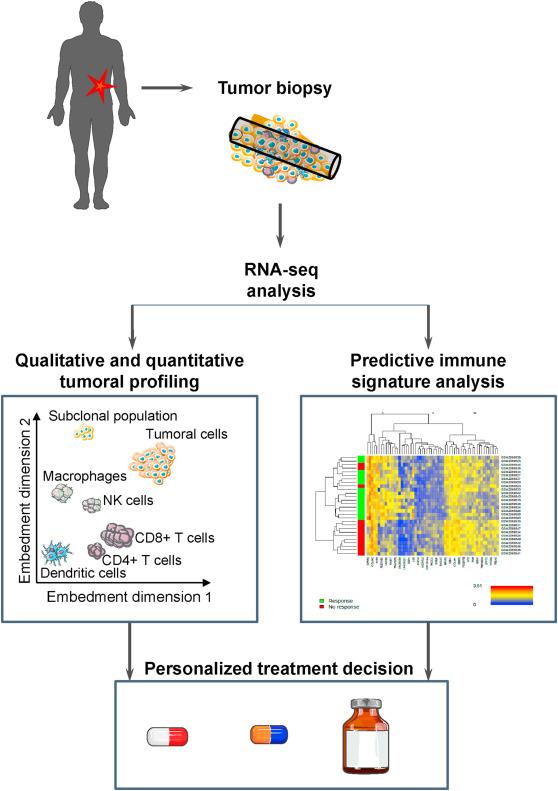 A one-dimensional parameter-free model for carcinogenesis in gene expression space