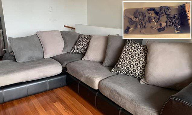 Woman shares photos showing why you need to wash your couch NOW