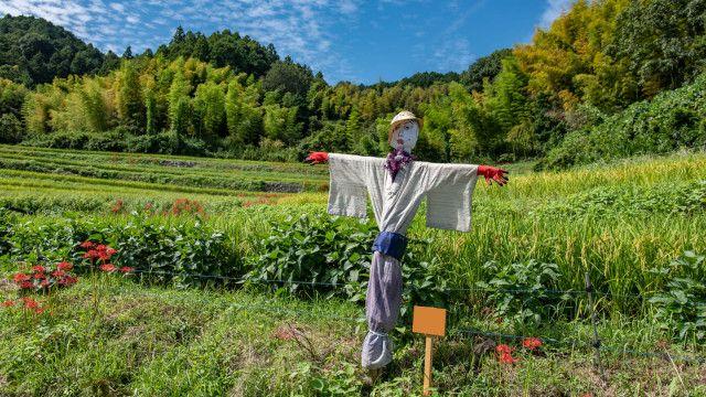  ひょんなことがきっかけで山を買ってわかった事～電柱があれば電力会社から賃貸料が入るらしい