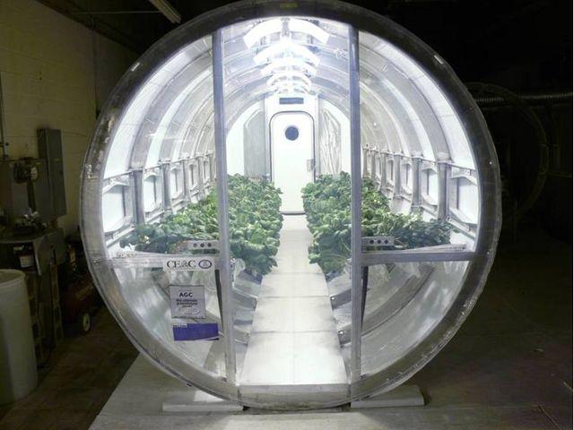 火星移住のためエアロゲルで温室を作る計画が考案される 