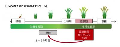  損保ジャパンら、気象リスク検知・予兆保険の社会実装へ　フードチェーンを安定化 