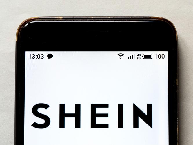 ‘They took my world’: fashion giant Shein accused of art theft 